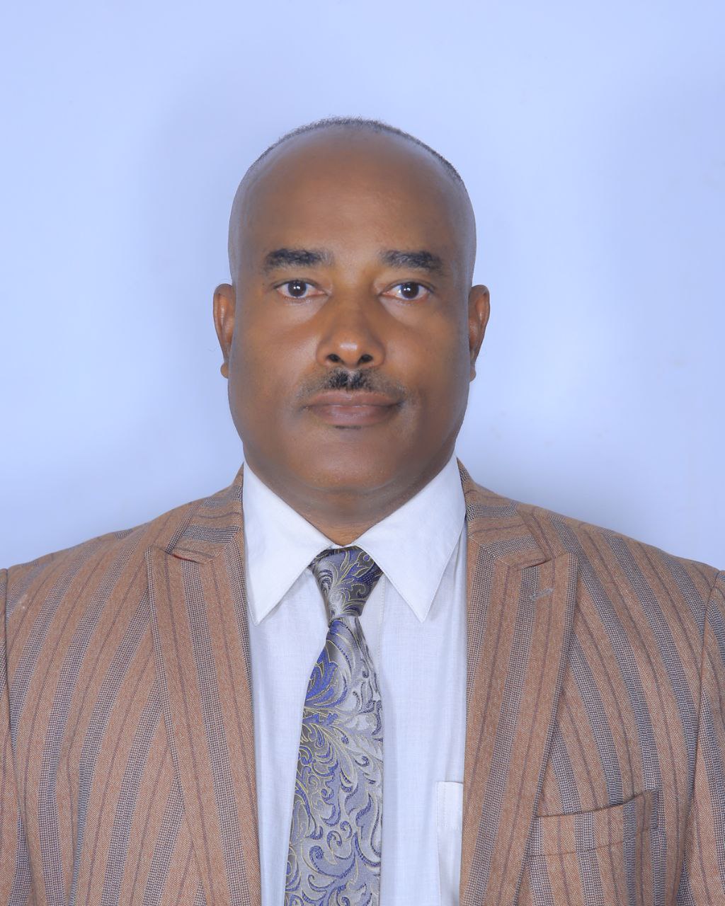 ኮሚሽነር መሳፍንት ሙሉጌታ